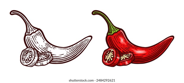 Hand Drawn Chili Pepper, Line Art Engraving Style Vector Illustration, Monochrome and Color Versions