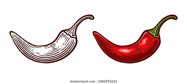 Hand Drawn Chili Pepper, Line Art Engraving Style Vector Illustration, Monochrome and Color Versions