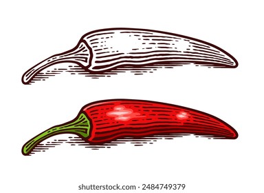 Hand Drawn Chili Pepper, Line Art Engraving Style Vector Illustration, Monochrome and Color Versions