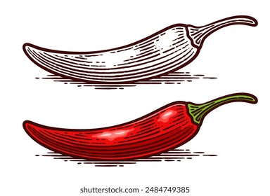 Hand Drawn Chili Pepper, Line Art Engraving Style Vector Illustration, Monochrome and Color Versions