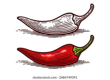 Hand Drawn Chili Pepper, Line Art Engraving Style Vector Illustration, Monochrome and Color Versions