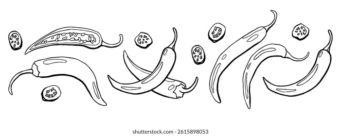 Hand drawn chili pepper set in line style. Vector illustration isolated on white