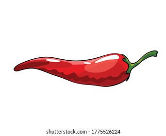 Hand drawn chili pepper. Super hot red chilli pepper. Red chilli pepper on white background. Natural healthy food. Spicy ingredient