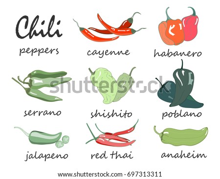 Hand drawn chili peppers. Colored graphic vector set. All elements are isolated
