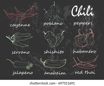 Hand drawn chili peppers. Graphic vector set. Chalkboard style. Colored chalk. All elements are isolated