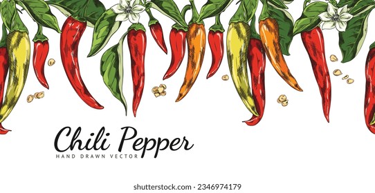 Hand drawn chili peppers seamless border in sketch style, vector illustration on white background. Advertising banner or label with text. Cayenne pepper with retro engraving texture.