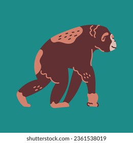 Hand drawn chimpanzee monkey color concept. Children's character. Abstract art animal. Contemporary trendy vector illustration.