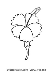 Hand Drawn China Rose Hibiscus Line Art Sketch