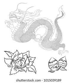 Hand drawn Chinese dragon set vector.Dragon tattoo set Asian style.