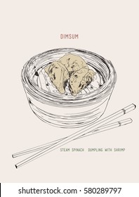 Hand drawn of Chinese dumplings. Steam Spinach dumpling with shrimp. Hong Kong Dim sum. Vector.