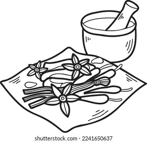 Hand Drawn Chinese herbs Chinese and Japanese food illustration isolated on background