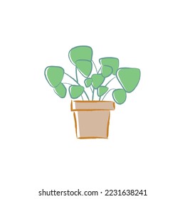 Hand drawn chinese money illustration. Cute children art. Cartoon style hand drawn vijuka pilea decorative, indoor, green, houseplant  for poster illustration