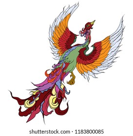 hand drawn Chinese peacock tattoo.Asian Phoenix fire bird tattoo design.Colorful Phoenix fire bird colouring book illustration.Hand drawn Japanese tattoo style.