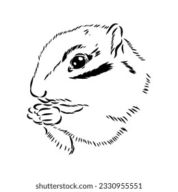 Hand drawn chipmunk. Black and white vector illustration in retro style