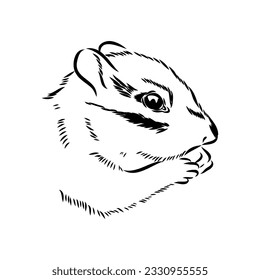 Hand drawn chipmunk. Black and white vector illustration in retro style