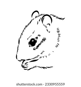 Hand drawn chipmunk. Black and white vector illustration in retro style