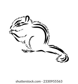 Hand drawn chipmunk. Black and white vector illustration in retro style