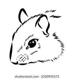 Hand drawn chipmunk. Black and white vector illustration in retro style