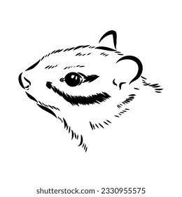 Hand drawn chipmunk. Black and white vector illustration in retro style