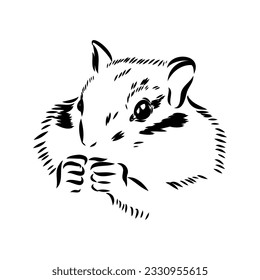 Hand drawn chipmunk. Black and white vector illustration in retro style