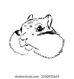 Hand drawn chipmunk. Black and white vector illustration in retro style