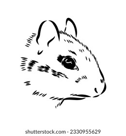 Mano dibujó chipmunk. Ilustración vectorial en blanco y negro en estilo retro