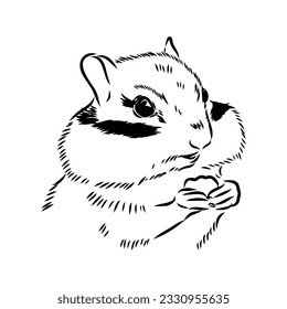 Hand drawn chipmunk. Black and white vector illustration in retro style