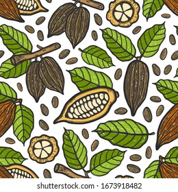 Hand drawn chocolate cocoa beans tree vector seamless pattern. Grunge stylized theobroma engraved drawing of leaves on white background. Engraved medical herbs. Wrapping paper, wallpaper, textile