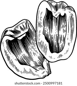 Hand drawn Chopped Bell Pepper Sketch Illustration