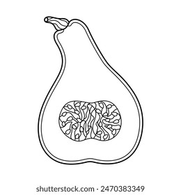Dibujado a mano Calabaza picada arte de línea. Icono de garabato de media calabaza. Ilustración vectorial de calabaza en blanco y negro. Perfecto para póster, tarjeta de felicitación, página para colorear para niños y adultos. 