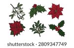 Hand drawn christmas botanical set with poinsettia, mistletoe and holly. Cozy winter foliage sketches for whimsical holiday invitations. Vector graphics for seasonal print and festive branding.