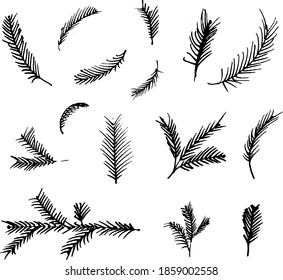 Hand drawn Christmas branches illustration. 