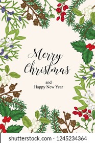 Hand drawn Christmas card with winter plants. Spruse, holly, mistletoe, juniper and cones vector illustration. Botanical design elements.