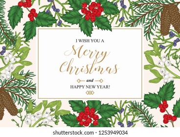 Hand drawn Christmas card with winter plants. Spruse, holly, mistletoe, juniper and cones vector illustration. Botanical design elements.