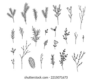 Hand Drawn Christmas Floral Bundle