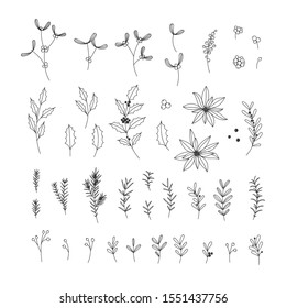 Hand drawn Christmas floral illustrations collection on white background