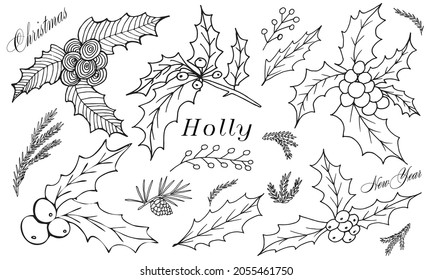 Hand drawn Christmas isolated set of holly branches. Monochrome branches  in vintage style. Vector illustration with elements decorations for  greeting cards, christmas posters and wrapping. 