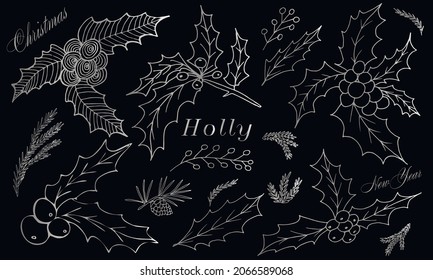 Hand drawn Christmas isolated set of holly branches. Silver branches  in vintage style. Vector illustration with elements decorations for  greeting cards, christmas posters and  wrapping.