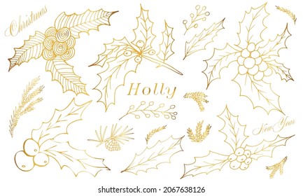 Hand drawn Christmas isolated set of holly branches. Golden realistic branches  in vintage style. Vector illustration with elements decorations for  greeting cards, christmas posters and  wrapping.