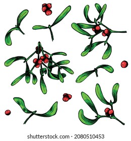 Hand drawn Christmas and New Year set of mistletoe twigs with berries. Colorful vector illustration. Christmas decoration isolated on a white background. For invitations, greeting cards, print, web