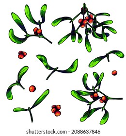 Hand drawn Christmas and New Year set of mistletoe twigs with berries. Colorful vector illustration. Christmas decoration isolated on a white background. For invitations, greeting cards, print, web, d