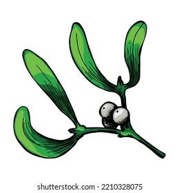Hand drawn Christmas and New Year clipart. Mistletoe twigs with berries. Holiday illustration