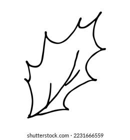 Hand drawn Christmas and New Year holly leaves bunch doodle. Holiday clipart