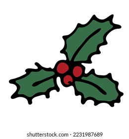 Hand drawn Christmas and New Year holly leaves bunch with berries. Holiday clipart