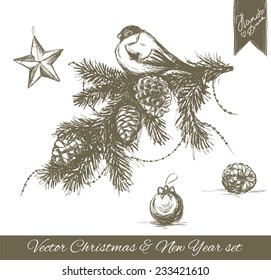 Hand drawn Christmas and New year set