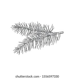 Pine Needles Drawing Images Stock Photos Vectors Shutterstock