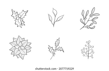 hand drawn christmas plants collection. holly branch, mistletoe and poinsettia. vector floral element for christmas and new year invitation design