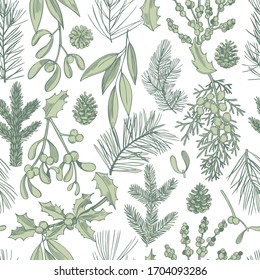 Hand drawn Christmas plants set. Coniferous tree branches. Vector  seamless pattern.