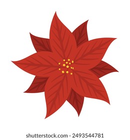 Hand drawn Christmas poinsettia with leaves isolated.