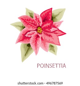 Hand drawn christmas poinsettia in watercolor style, design element. Can be used for cards, invitations, gift wrap, print, scrapbooking. Christmas and New Year background. All elements are editable